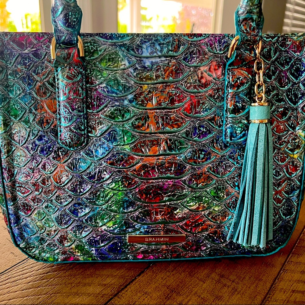 Brahmin Leather bag